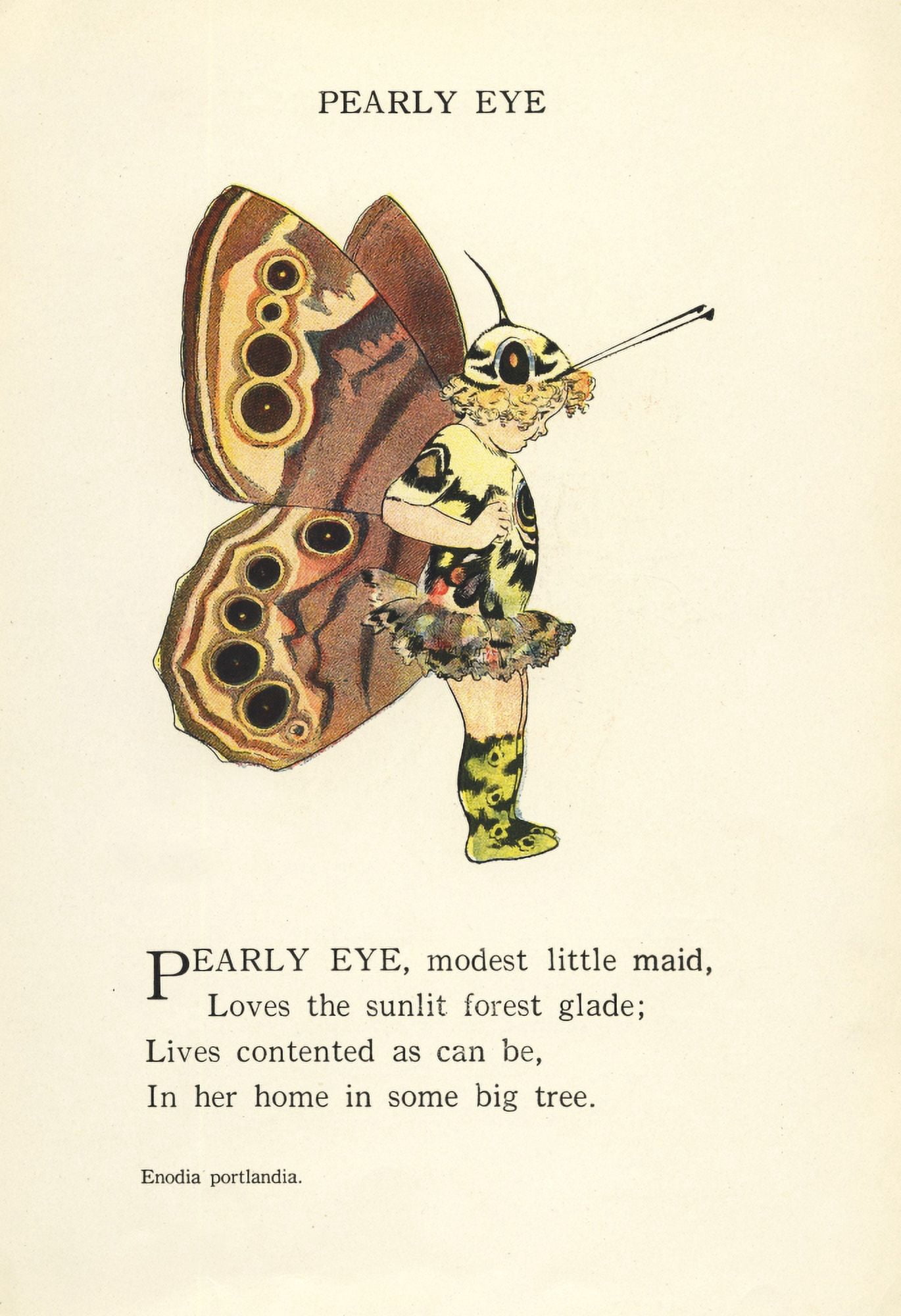 Butterfly Babies 1914 Pearly Eye Canvas Art - MT Ross (24 x 36)
