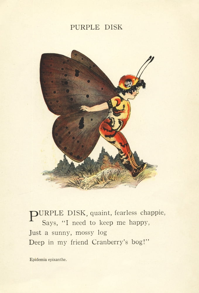 Butterfly Babies 1914 Purple Disk Canvas Art - MT Ross (18 x 24)