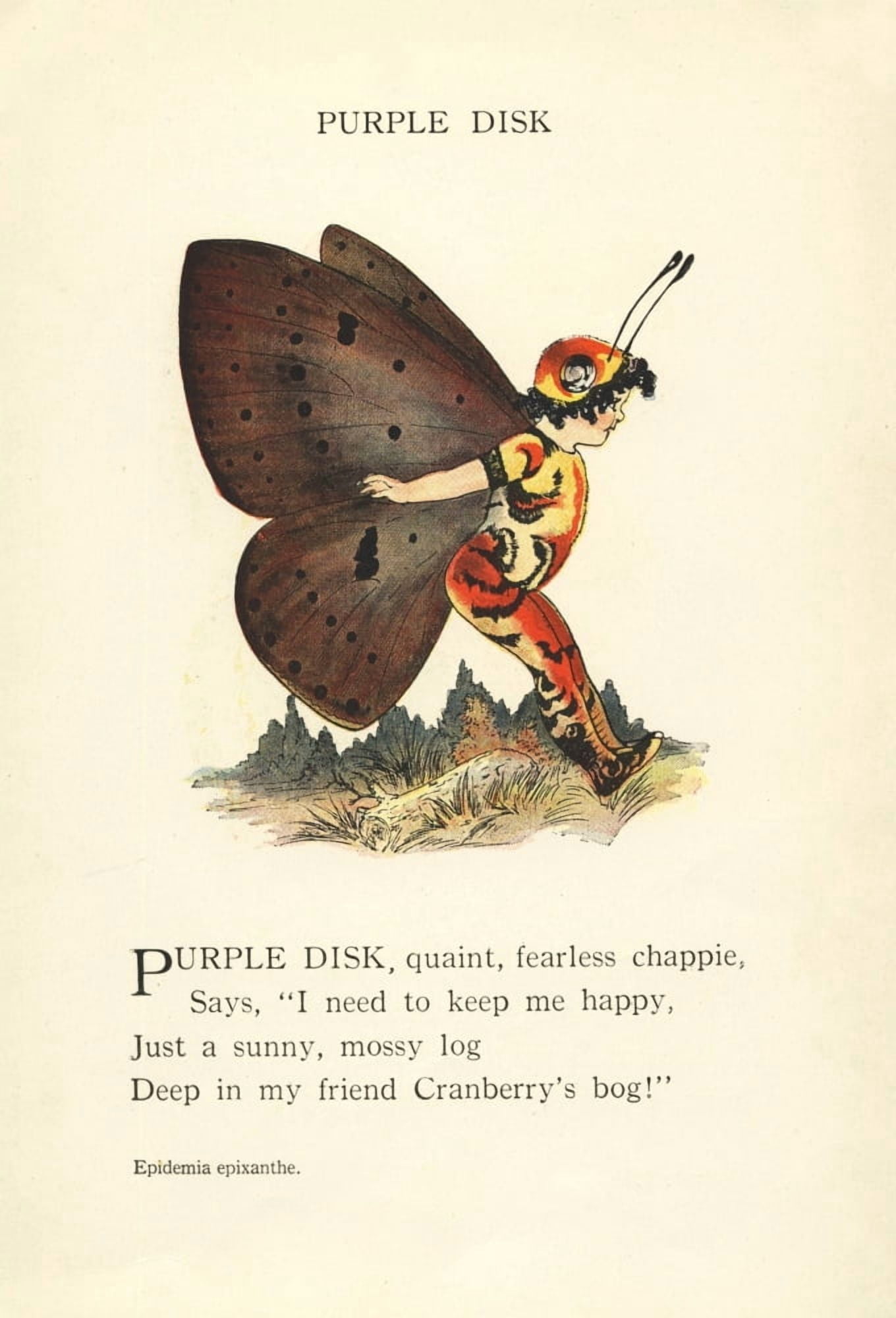 Butterfly Babies 1914 Purple Disk Canvas Art - MT Ross (24 x 36)