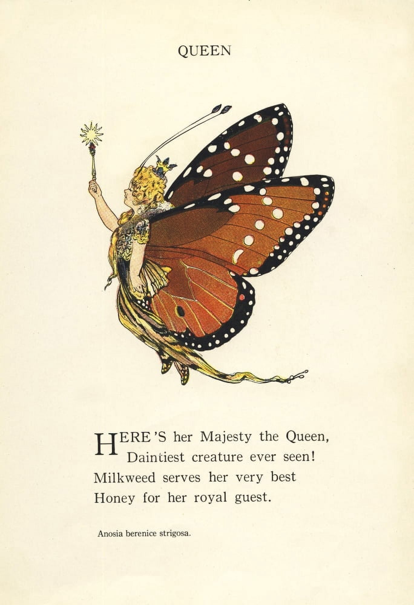 Butterfly Babies 1914 Queen Canvas Art - MT Ross (24 x 36)