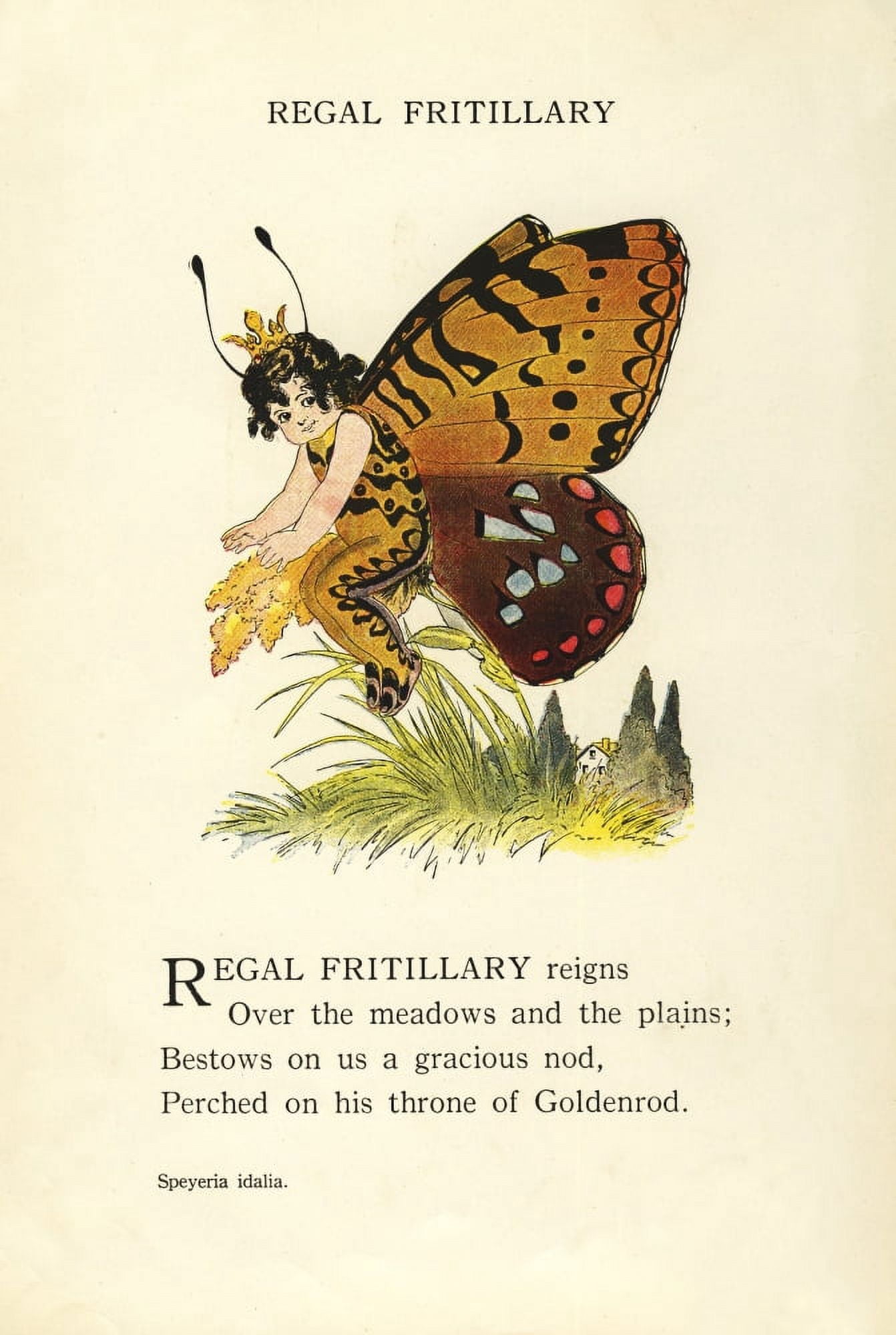 Butterfly Babies 1914 Regal Fritillary Canvas Art - MT Ross (18 x 24)
