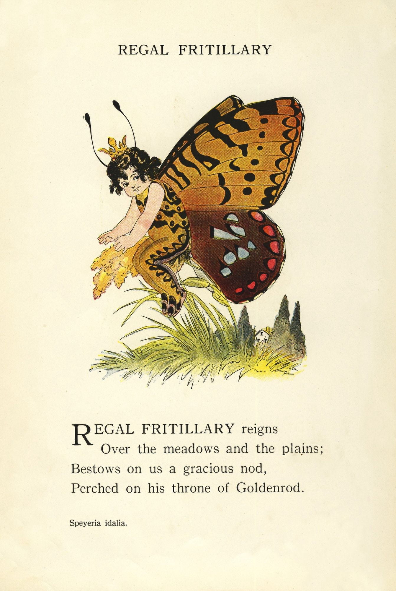 Butterfly Babies 1914 Regal Fritillary Canvas Art - MT Ross (24 x 36)
