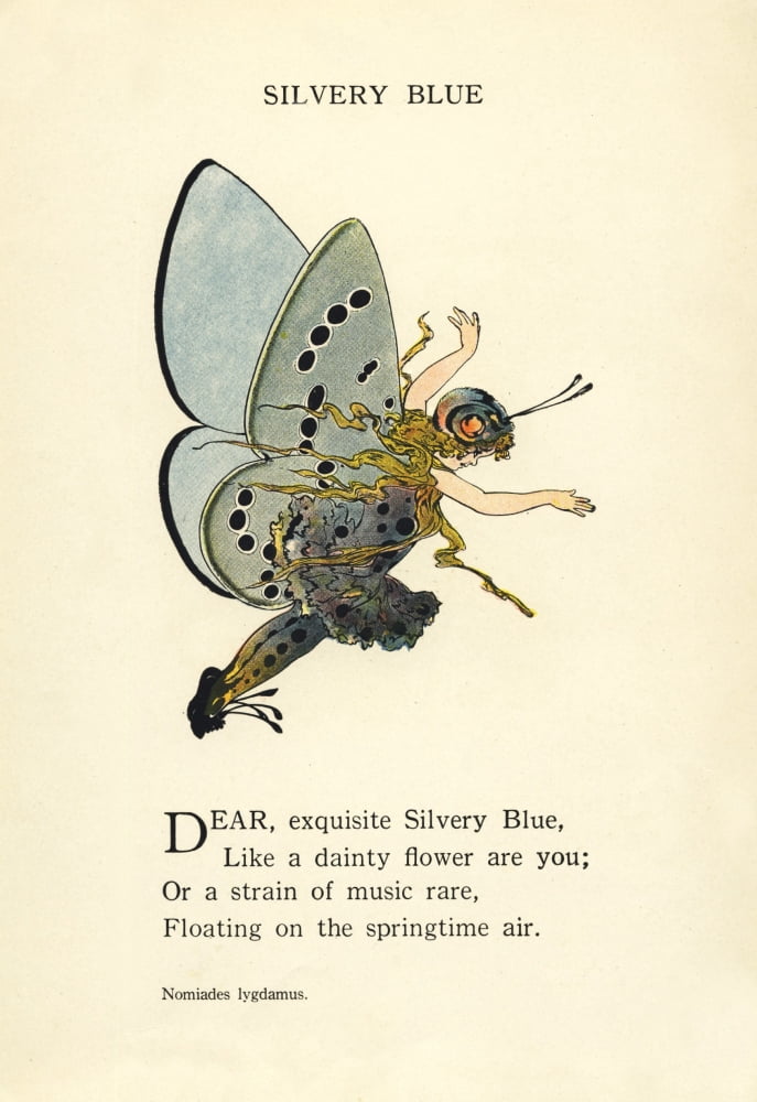 Butterfly Babies 1914 Silvery Blue Canvas Art - MT Ross (24 x 36)