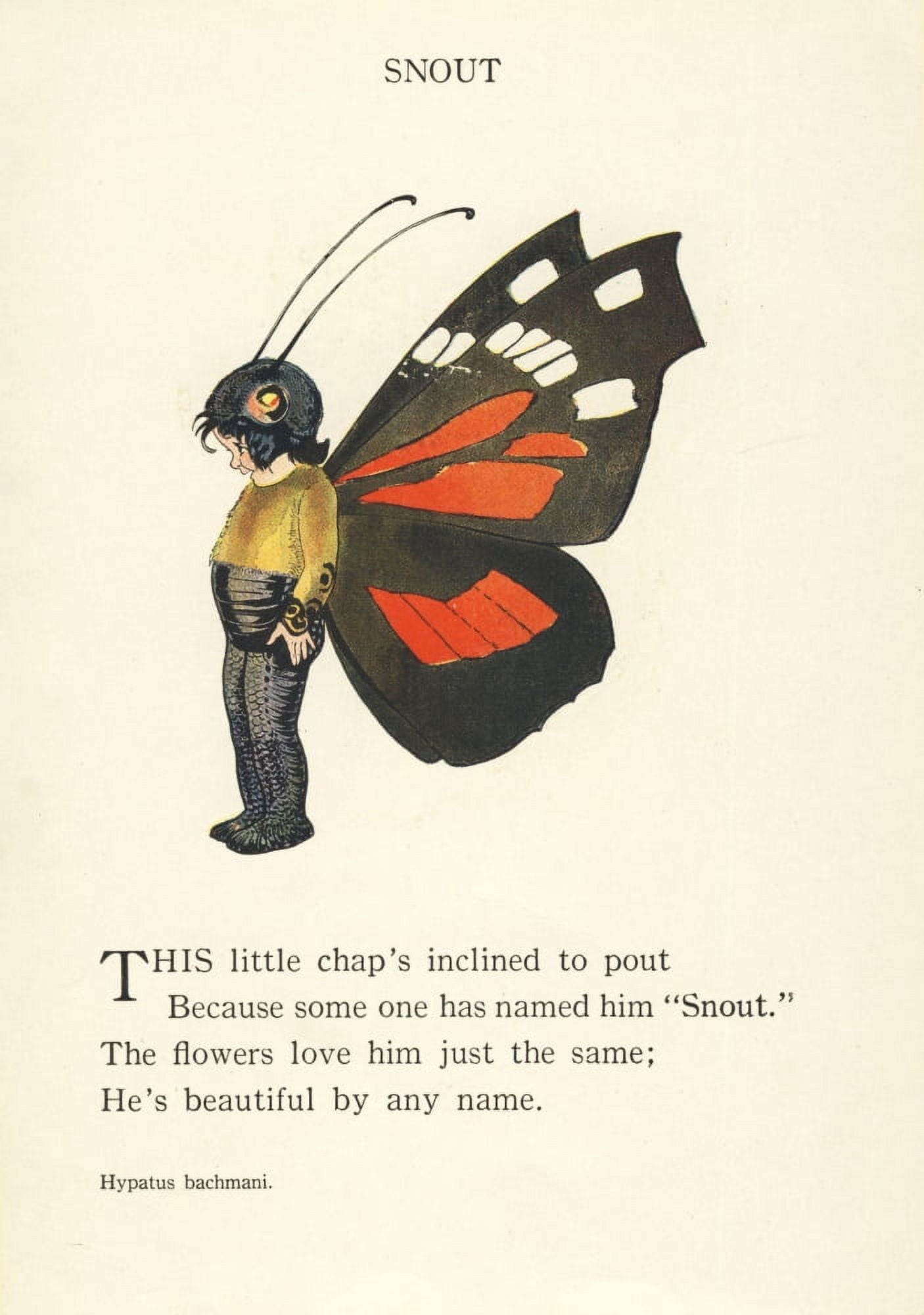 Butterfly Babies 1914 Snout Canvas Art - MT Ross (24 x 36)