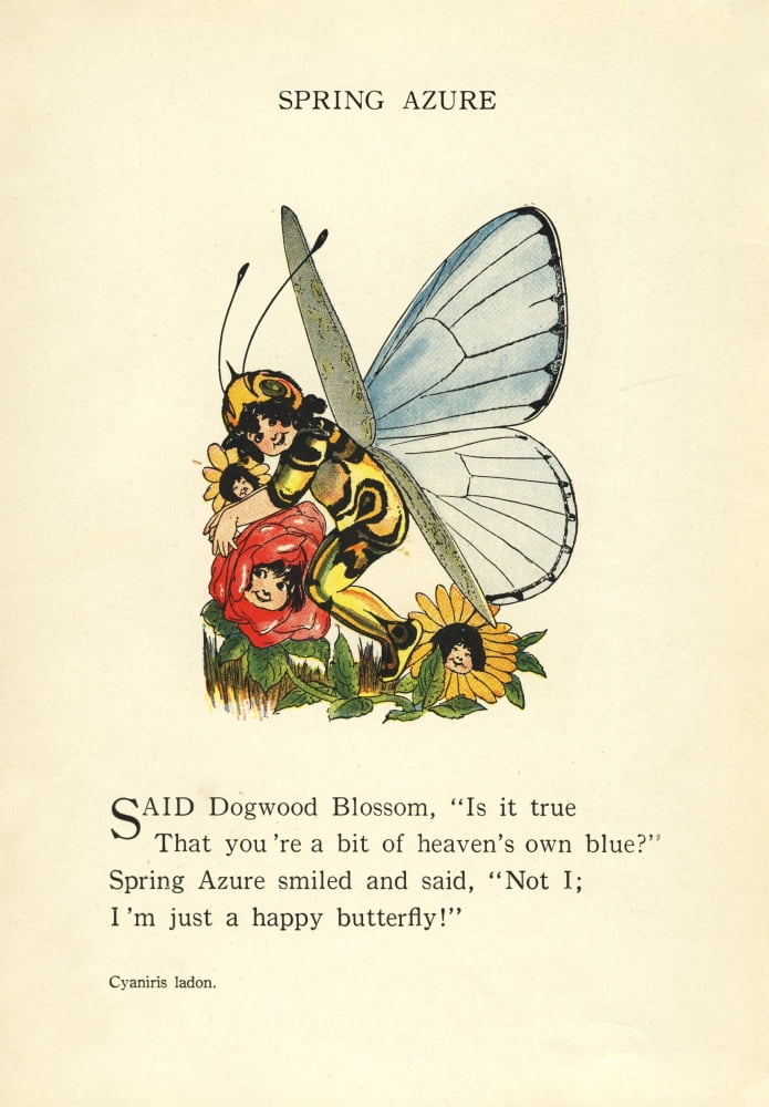 Butterfly Babies 1914 Spring Azure Canvas Art - MT Ross (18 x 24)