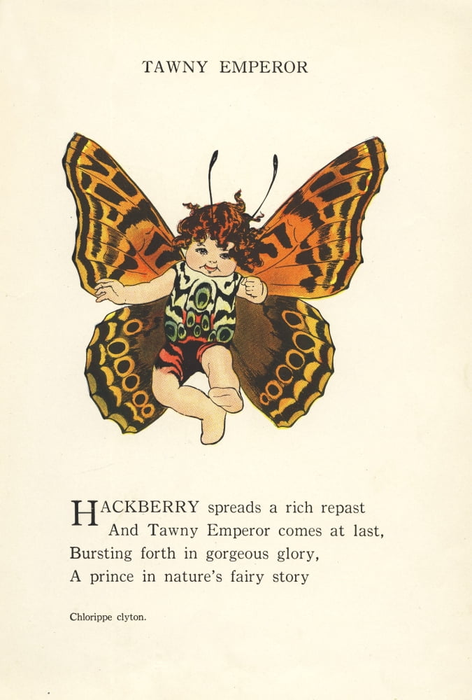 Butterfly Babies 1914 Tawny Emperor Canvas Art - MT Ross (24 x 36)