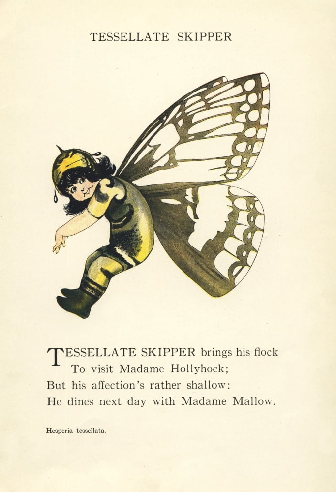 Butterfly Babies 1914 Tessellate Skipper Canvas Art - MT Ross (24 x 36)