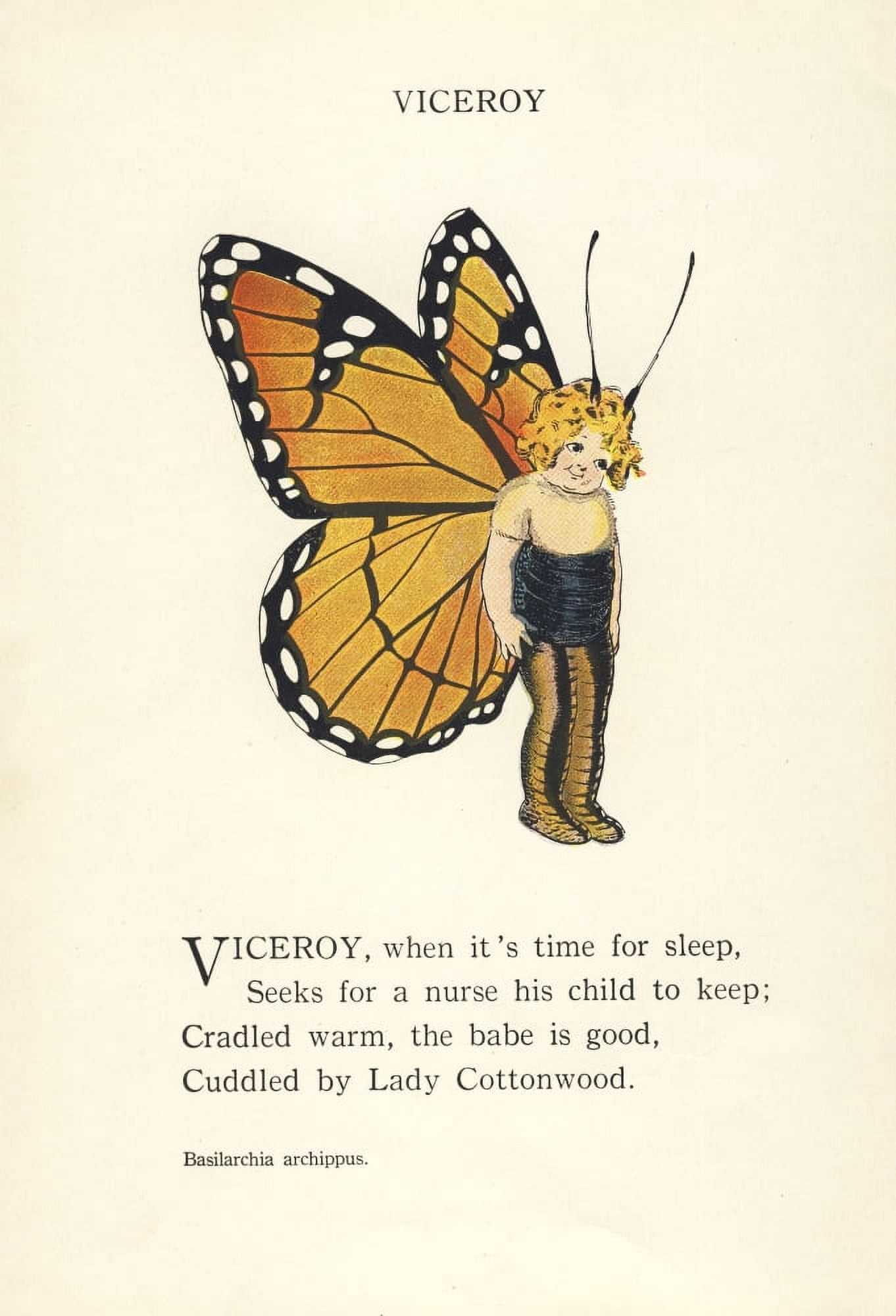 Butterfly Babies 1914 Viceroy Canvas Art - MT Ross (18 x 24)