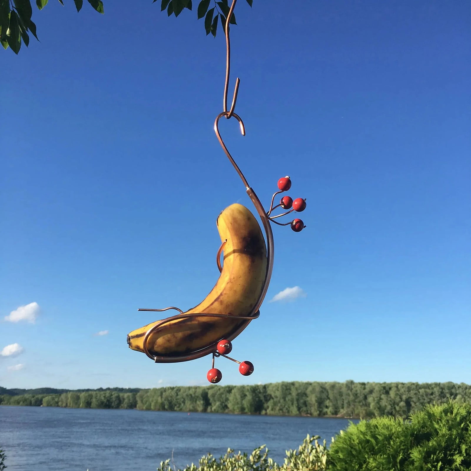 Butterfly Banana Hammock Butterfly Feeder, Butterfly Banana feeders ...