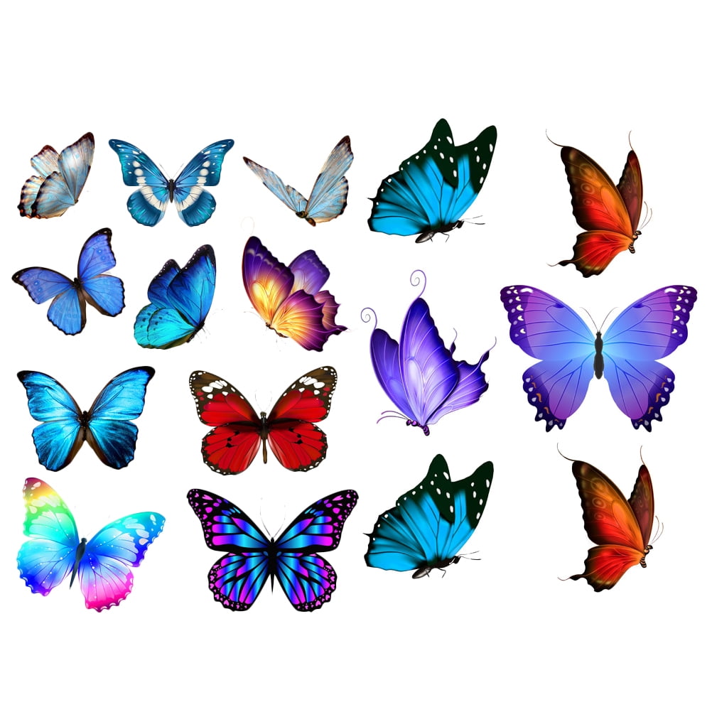 Butterfly Bumper Stickers for Water Bottles Car Butterflies Decals Vehicle Body