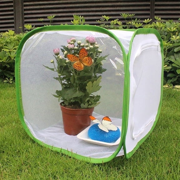 Butterfly Cage, Insect Mesh Cage, Caterpillar Enclosure Terrarium Pop-up, 12 x 12 x 12 inch
