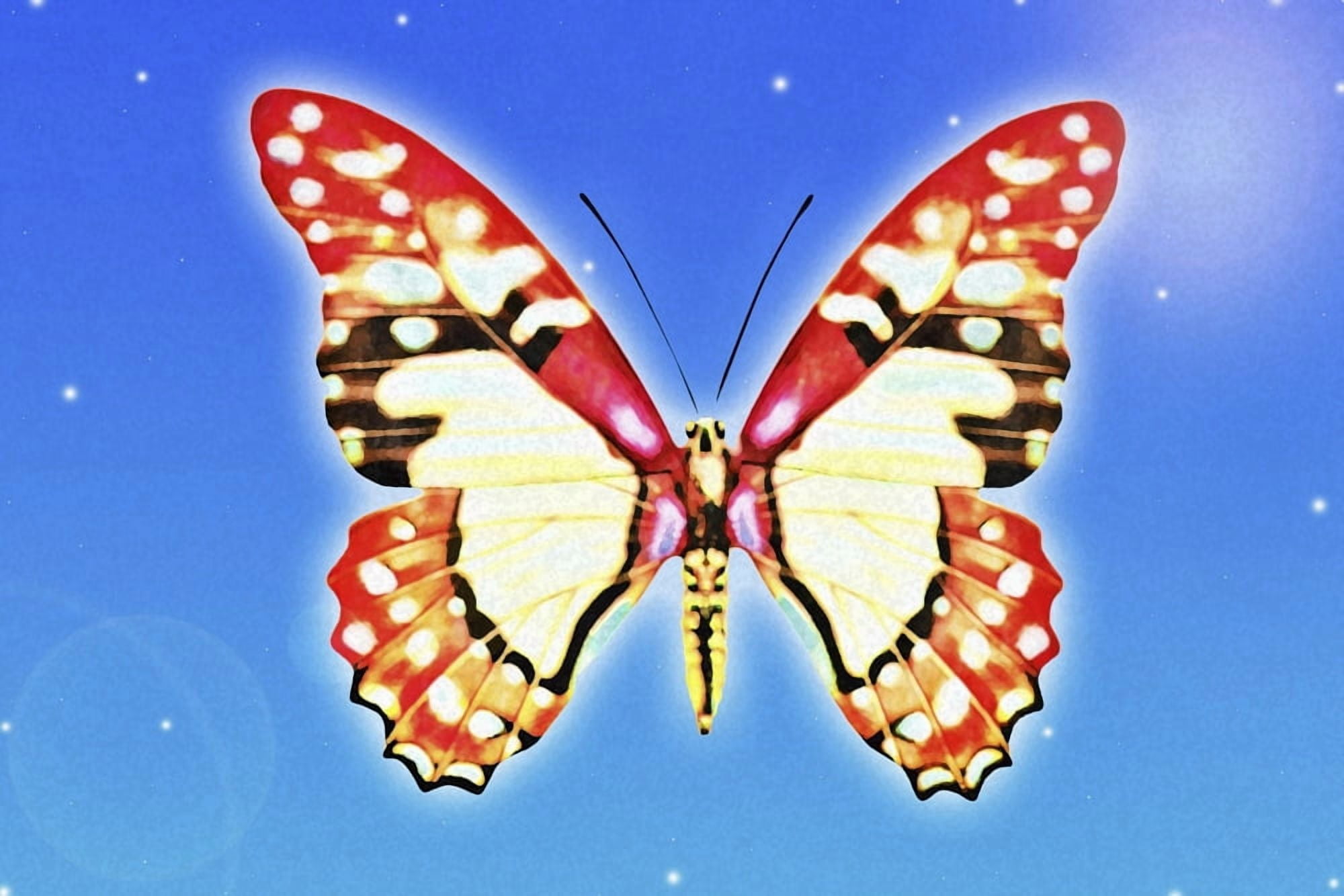 Butterfly Canvas Art - Chris and Kate Knorr Design Pics (18 x 12)