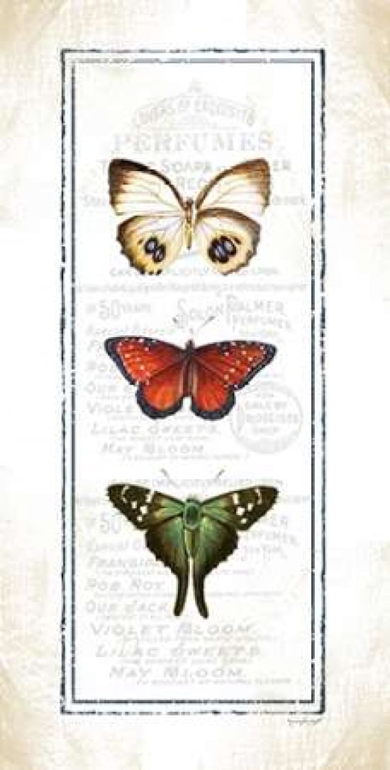 Butterfly Canvas Art - Jennifer Pugh (10 x 20)