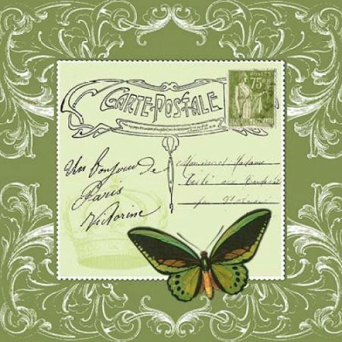 Butterfly Carte Postale Green Canvas Art - Marion De Lauzun (24 x 24)