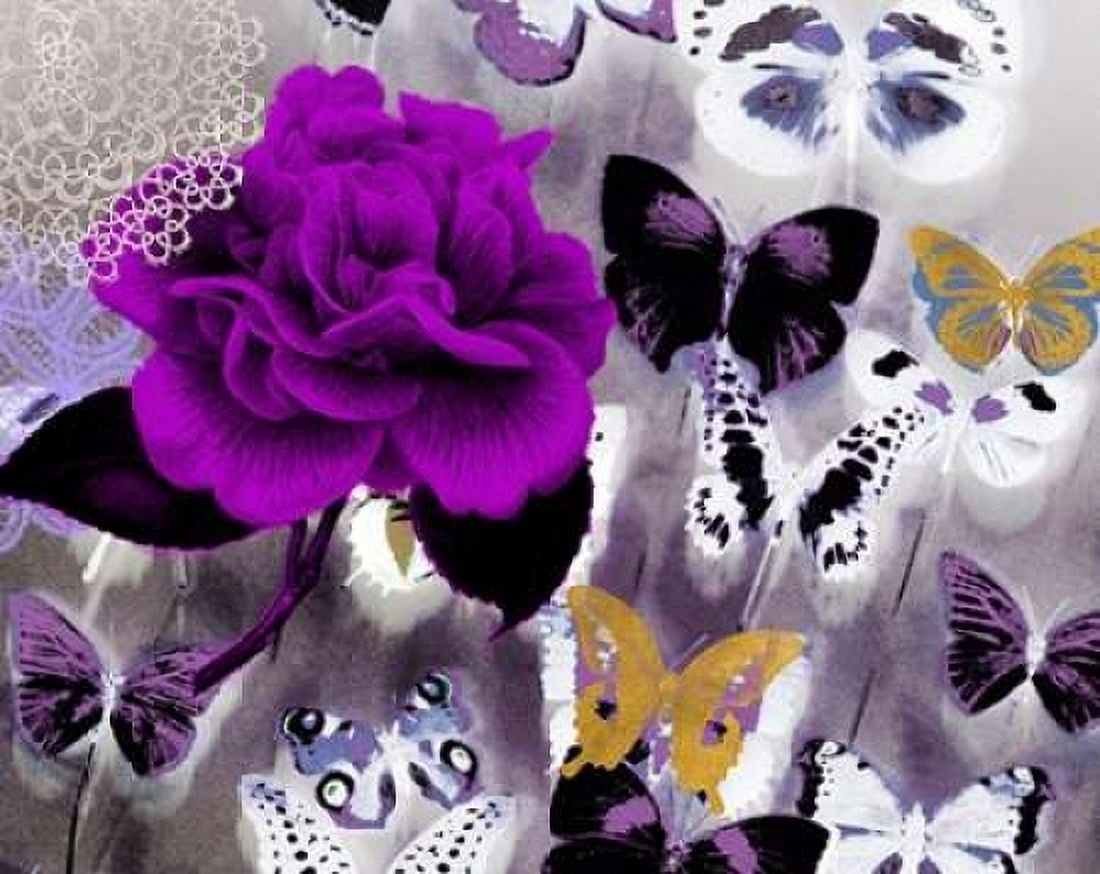 Butterfly Collage Magenta Canvas Art - Evangeline Taylor (20 x 24)