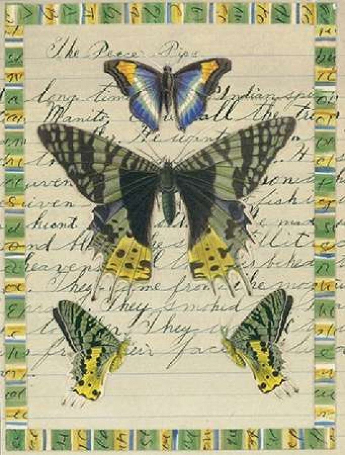 Butterfly Collage Peace Pipe Canvas Art - William Gould-Porter (18 x 24)