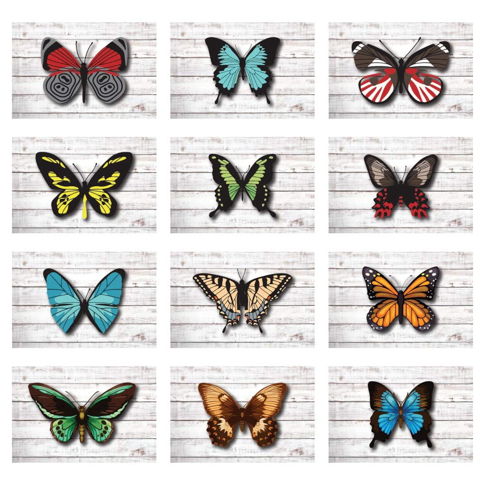 Butterfly Collection All-Occasion Blank Note Greeting Cards | 24 Pack ...