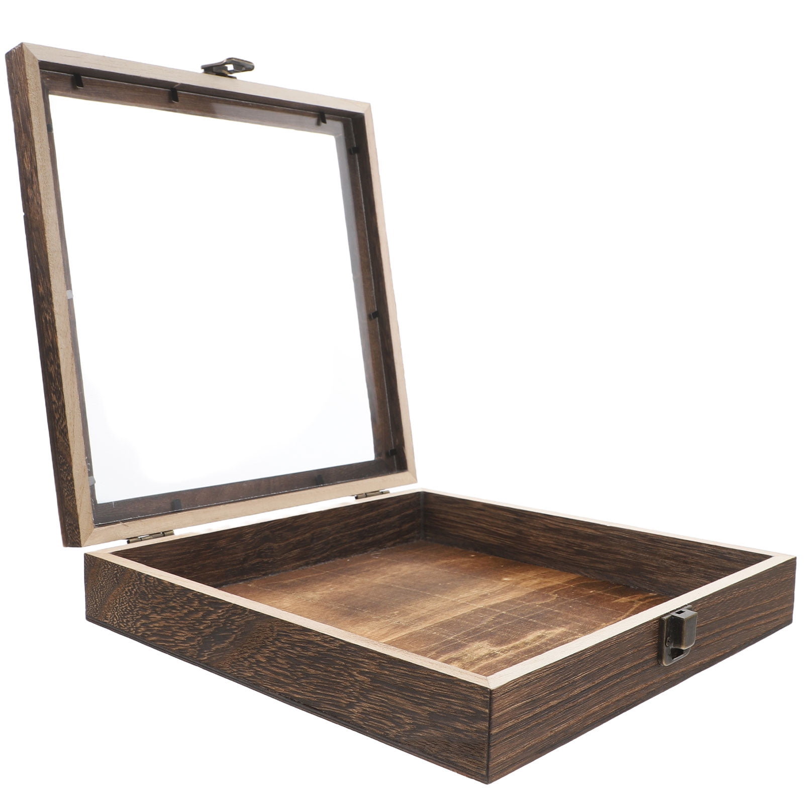 Butterfly Collection Box With Clear Lid Wooden Display Case For Dried ...