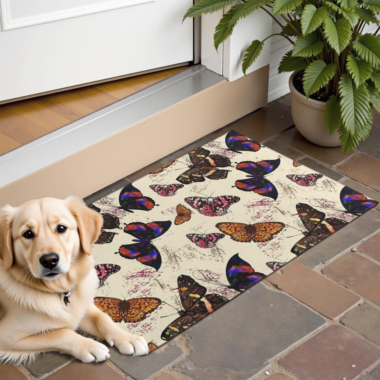 Butterfly Colorful Wing Pattern Door Rugs Washable Non Slip Door Mats