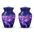 thumbnail image 1 of Butterfly Cremation Urns For Human Ashes Adult Female For Funeral, Burial & Home - Small Urns For Mom & Urns For Women Butterfly Urn - Religious Urns For Human Ashes (Size -3Inch,2Pcs), 1 of 5