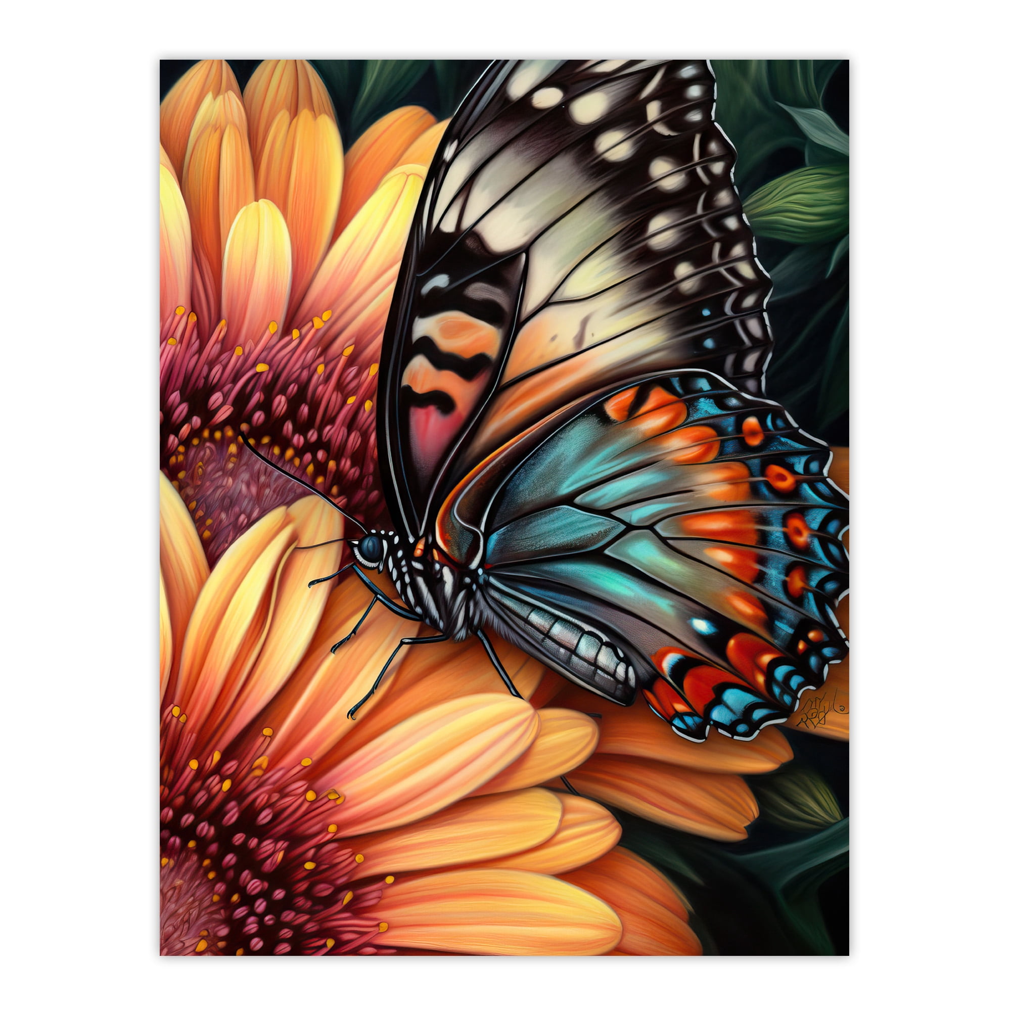 Butterfly On Flower Drawing With Color Pencil