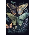 Butterfly Diamond Painting Kits Taxidermy Diamond Painting Full Round