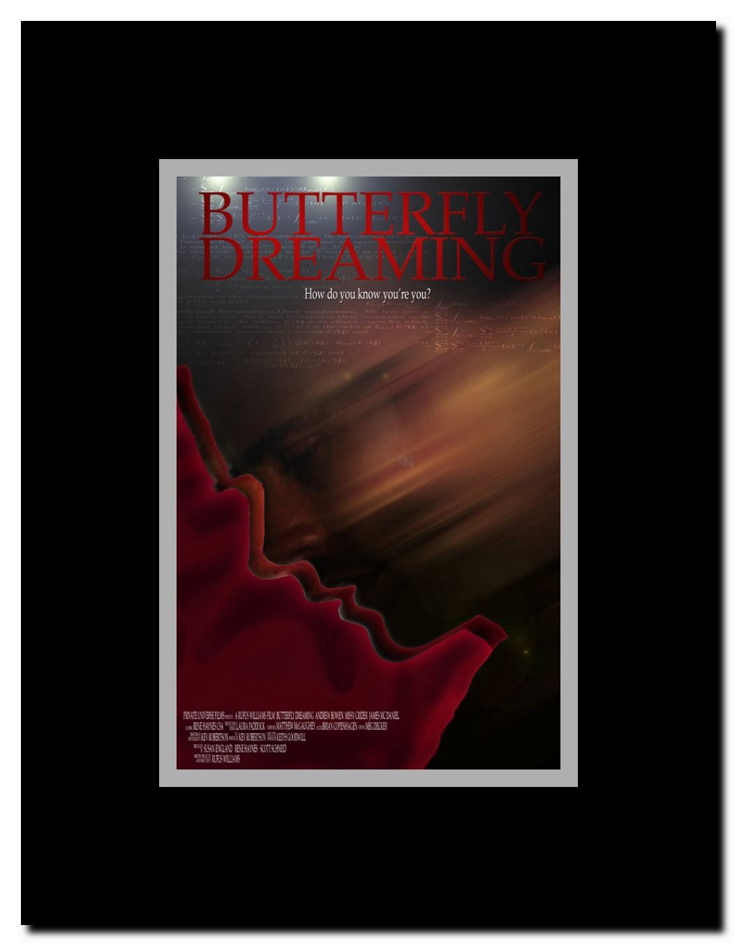 Butterfly Dreaming Framed Movie Poster