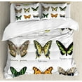 thumbnail image 1 of Butterfly Duvet Cover Set King Size, Watercolor Style Spring Insects Urania Helius Saturnia Pavonia Animal Design, Decorative 3 Piece Bedding Set with 2 Pillow Shams, Multicolor, by Ambesonne, 1 of 3