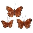 thumbnail image 1 of Butterfly Embellishments - 3ct. by Ashland®, 1 of 3