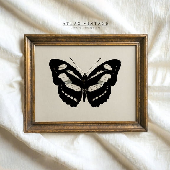 Butterfly Etching Wall Art Print Gothic Dark Academia Decor