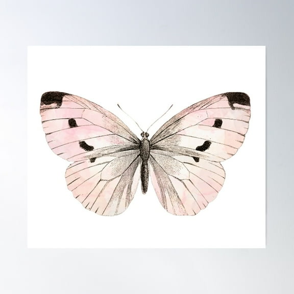 Butterfly Flutter - Soft Peach Poster Wall Art, Modern Wall Decor For Living Room Bedroom, 8x12 UNFRAMED