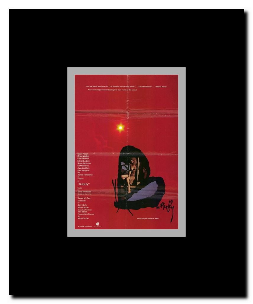 Butterfly Framed Movie Poster