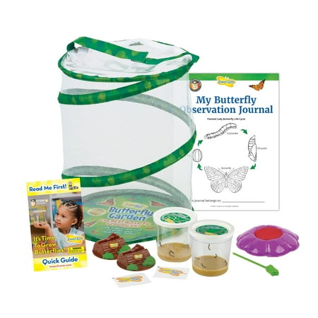 Insect Lore Butterfly Garden with 10 Live Baby Caterpillars - Habitat, Feeder, Chrys-A-Lid Holders, STEM Activity Journal - Raise and Release Painted Lady Butterflies