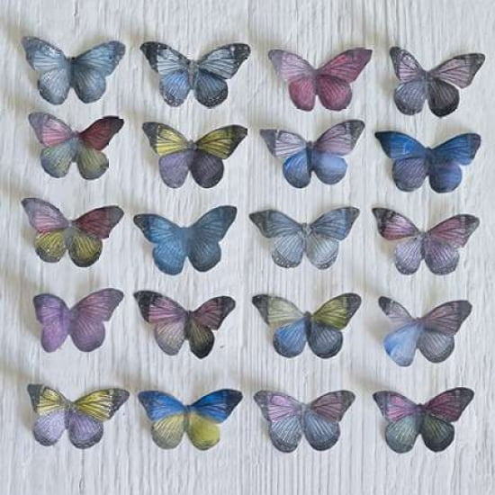 Butterfly Grid Canvas Art - Howard Shooter (24 x 24)