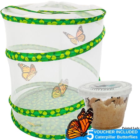 Butterfly Growing Garden Habitat Kit - Pop Up Collapsible Insect & Bug Habitat Net Cage - STEM Caterpillar Garden for Watching Butterfly Metamorphosis - Large 13" Tall + Caterpillar Voucher