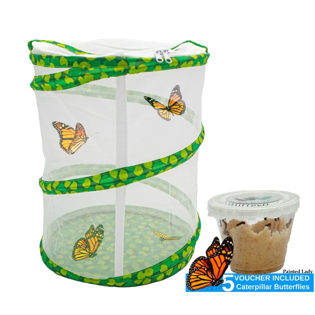 "Live Kids Butterfly Growing Garden Kit Bug Raising Cage 12"" Tall