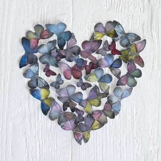 Butterfly Heart Canvas Art - Howard Shooter (24 x 24)