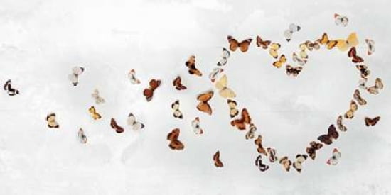 Butterfly Heart Canvas Art - Ian Winstanley (10 x 20)