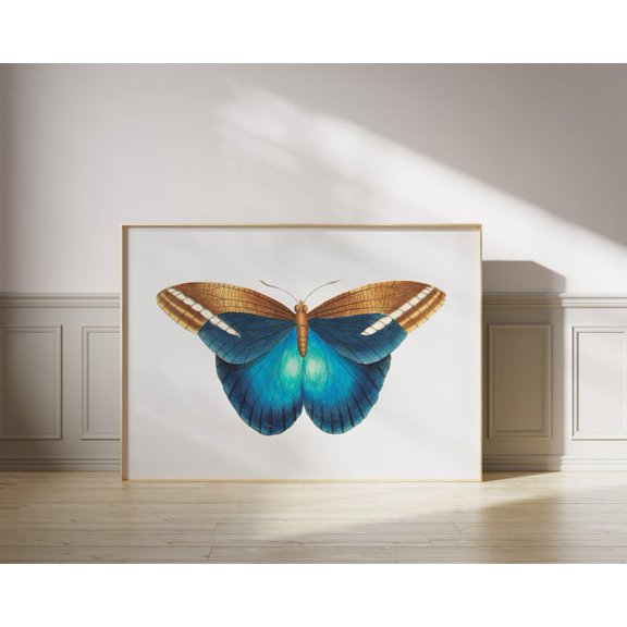 Butterfly Horizontal Eclectic Colorful Apartment Porch Decoration, Unframed Paper Poster 8x10in