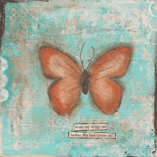 Butterfly III Canvas Art - Cassandra Cushman (24 x 24)