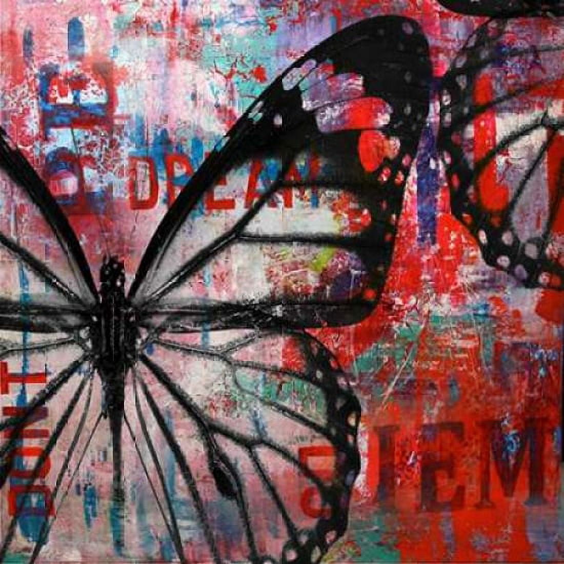 Butterfly IV Canvas Art - Micha Baker (24 x 24)