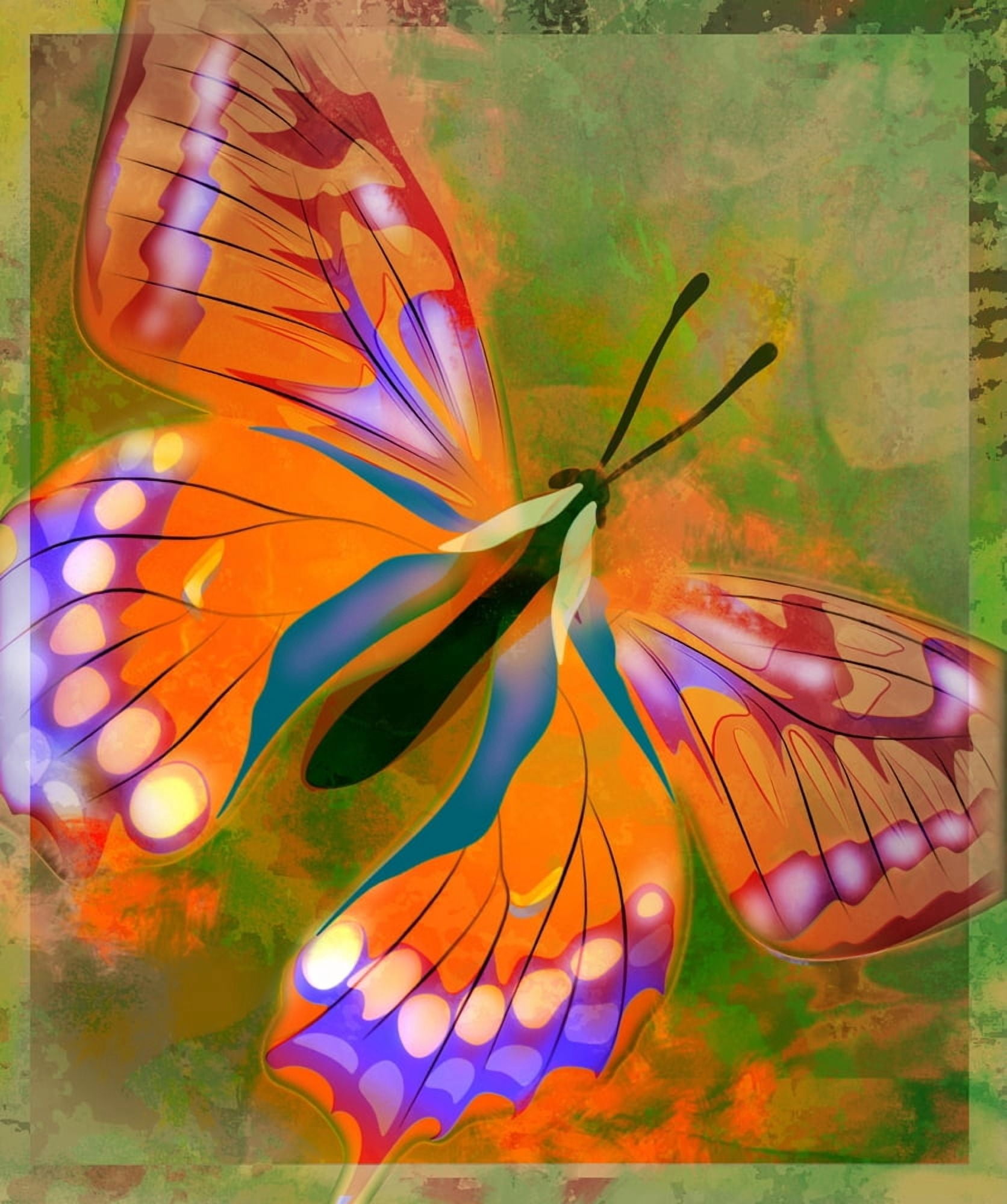 Butterfly Illustration Canvas Art - Design Pics Eye Traveller Design Pics (28 x 32)