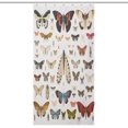 thumbnail image 1 of Butterfly Insect Shower Curtain, Vintage Gray Specimen Art Watercolor Butterfly Waterproof Shower Curtain, Personalized Decorative Privacy Shower Curtain 12 Hooks Polyester Fiber 36x72In, 1 of 6