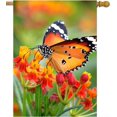 thumbnail image 1 of Butterfly Insects in On Orange Floral Flowers Spring Summer Natural Seasonal House Flag 28 x 40 Inch, Double Sided Large Garden Yard Welcome Flags Banners for Home Lawn Patio Outdoor Decor, 1 of 5