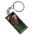thumbnail image 1 of Butterfly Keychain Key Chain Ring, 1 of 1