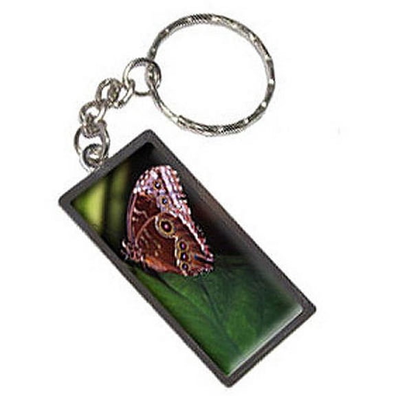 Butterfly Keychain Key Chain Ring