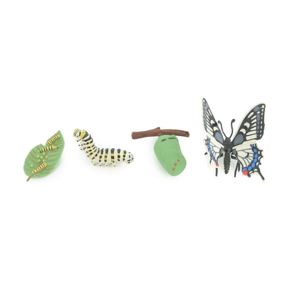 Butterfly Life Cycle, 4 Piece Set, Hand Painted, Educational, High Quality Rubber Insect, Realistic, Diorama, Figure, Toys, Kids, Gift, 3 Inches. CH982 BB214