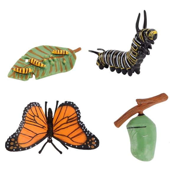 Butterfly Life Cycle Figurine Toy Set For Kids Educational Insect Growth Cycle Model