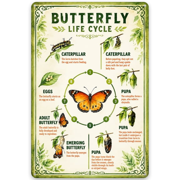 Butterfly Life Cycle Metal Wall Decor Sign, 8x12 Inch - Vintage Rustic Style Iron Wall Art with Pre-Drilled Holes for Easy Hanging, Indoor/Outdoor Weather Resistant Home Decoration
