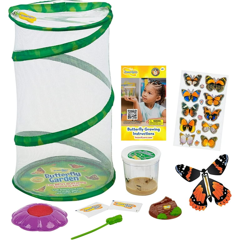 The Best Butterfly Kits - Top Butterfly Growing Kits